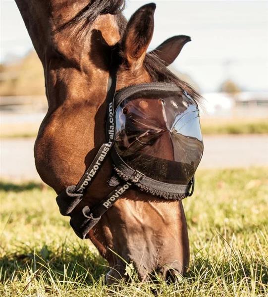 z Paard Benodigdheden